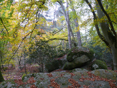 herst